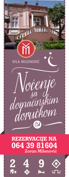 vila-milenovic-rajacke-pivnice